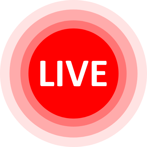 Honey Cam